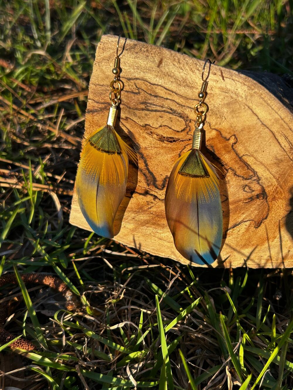 Handmade Blue, Yellow and Green Macaw and Pheasant Feather Earrings